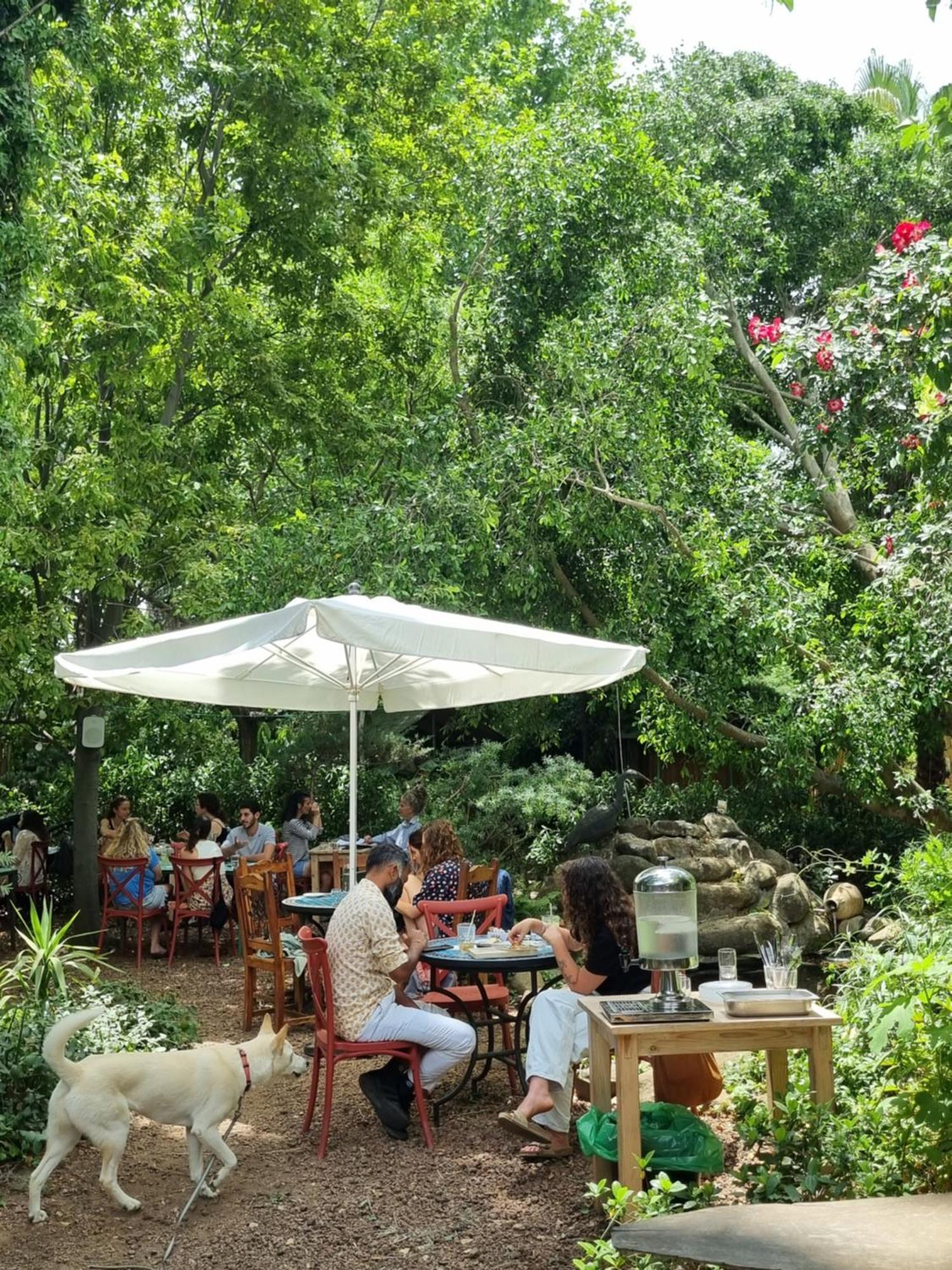 Vitrage Holiday Village And Spa เบทฮิลเลล ภายนอก รูปภาพ