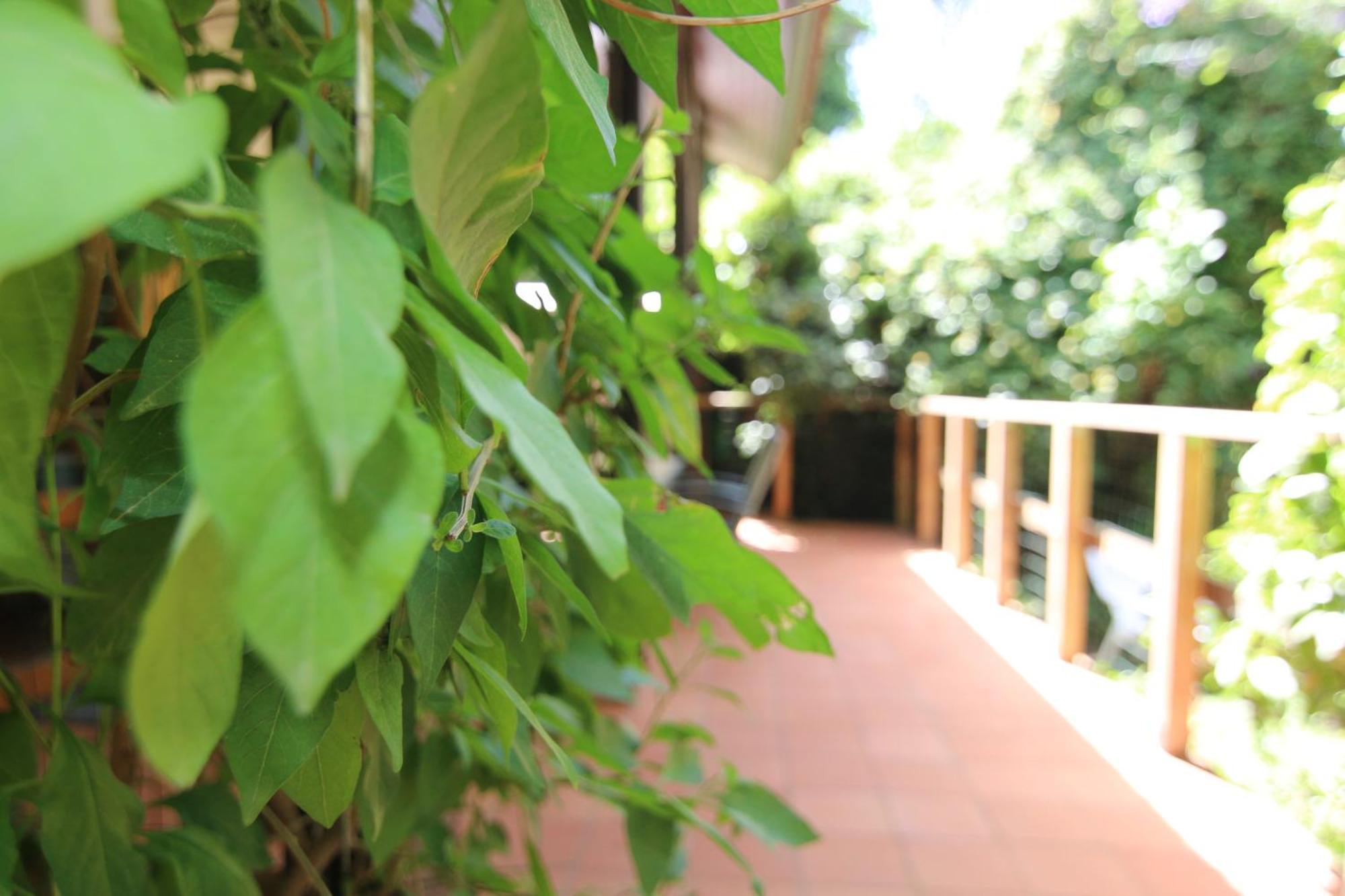 Vitrage Holiday Village And Spa เบทฮิลเลล ห้อง รูปภาพ